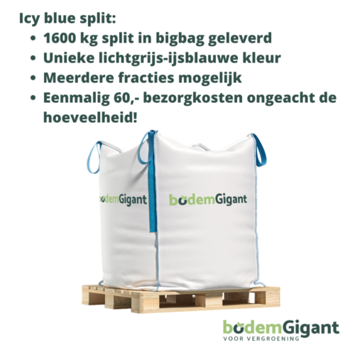 Icy blue split productinfo bodemgigant