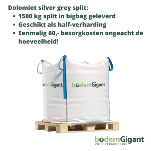 Dolomiet silver grey split productinfo bodemgigant