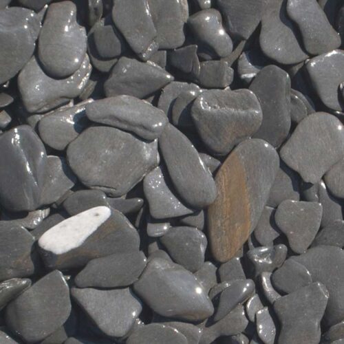 flat pebbles zwart 15/30 Bodemgigant